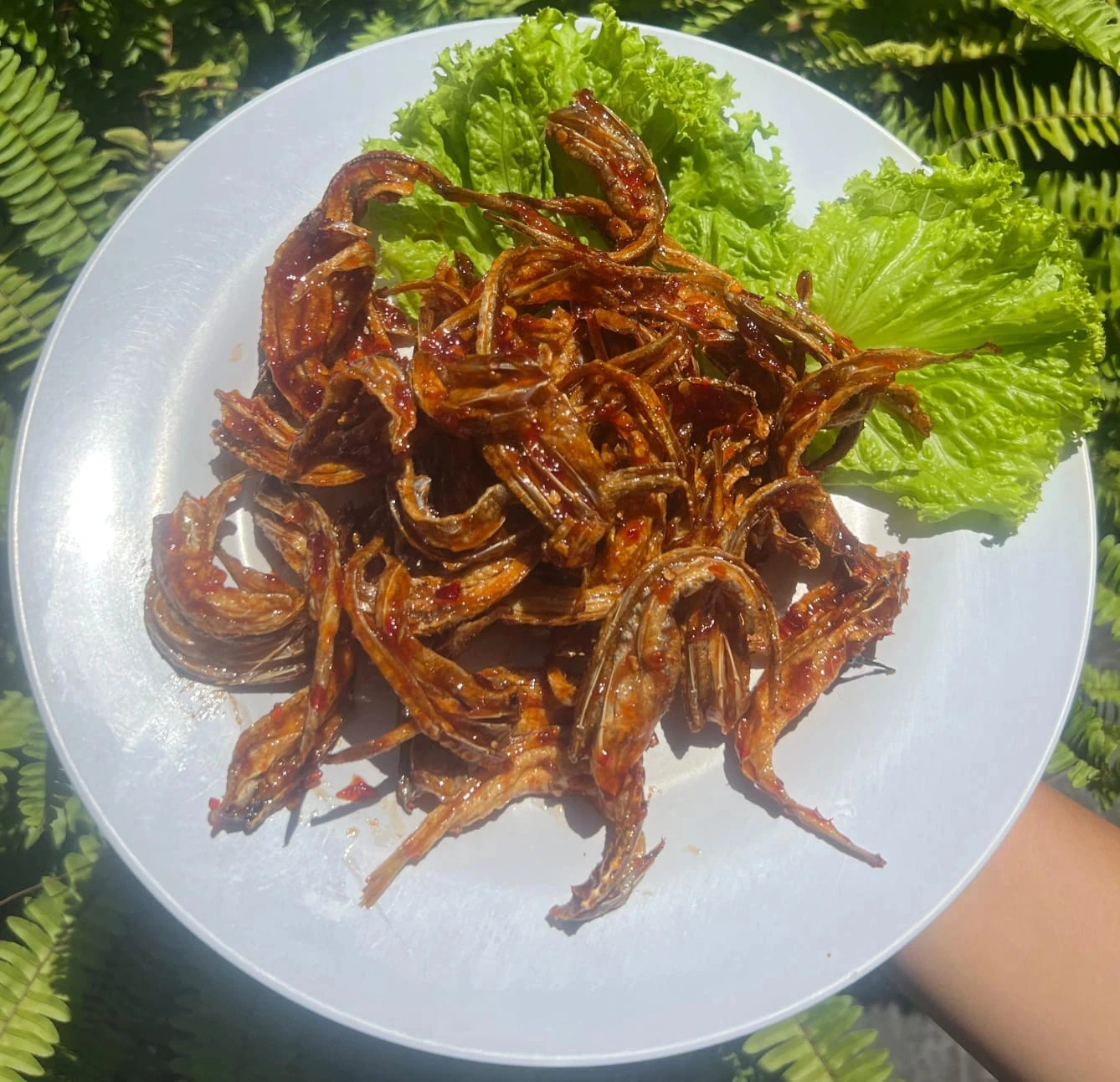 teri manis