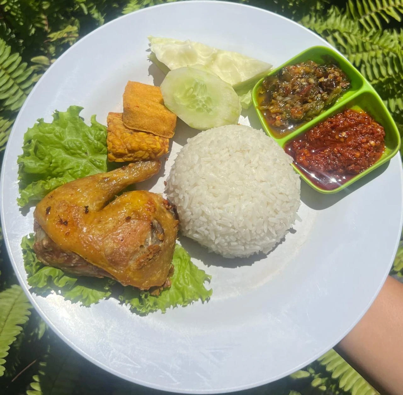 lalapan